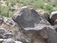 Signal Hill Maze